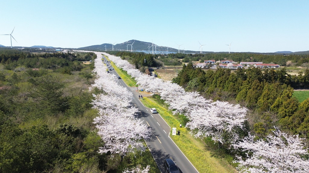 2025年世界环境日主办国韩国致力于对抗塑料污染。